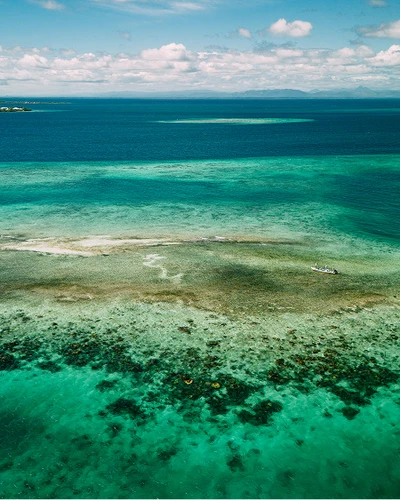 Top Saltwater Picks