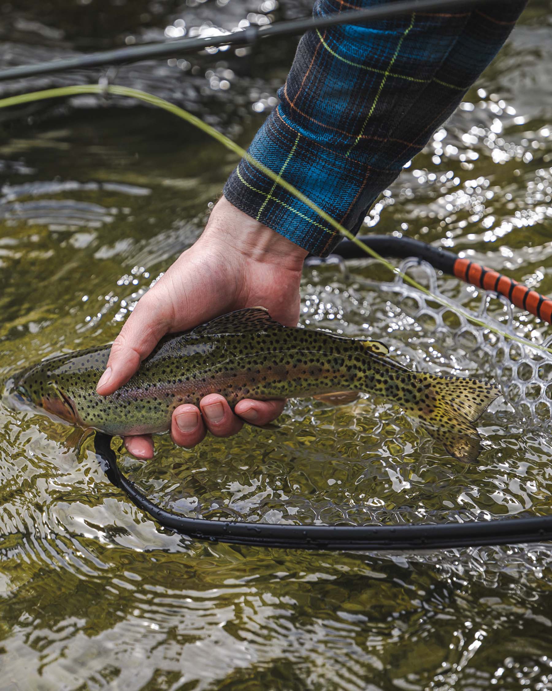 Daymaker Landing Net -Small - Image 5
